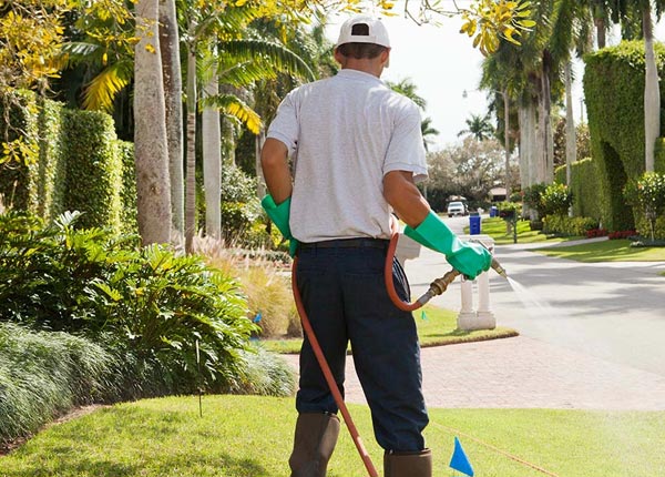 About Derby OH Pest Control